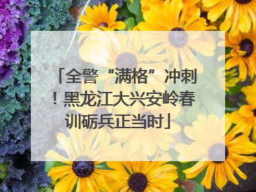 全警“满格”冲刺！黑龙江大兴安岭春训砺兵正当时