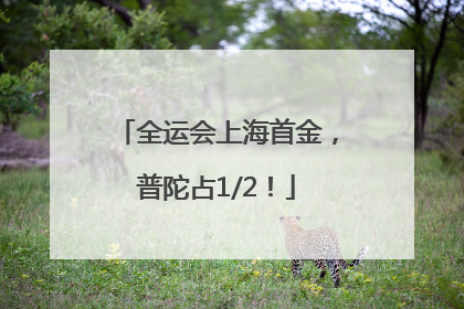 全运会上海首金，普陀占1/2！