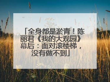全身都是淤青！陈丽君《我的大观园》幕后：面对滚楼梯，没有做不到