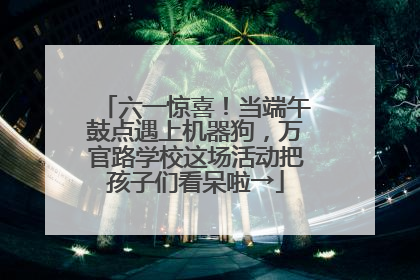 六一惊喜！当端午鼓点遇上机器狗，万官路学校这场活动把孩子们看呆啦→