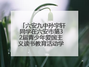 六安九中孙宇轩同学在六安市第32届青少年爱国主义读书教育活动学生演讲比赛中荣获一等奖