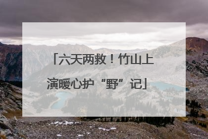 六天两救！竹山上演暖心护“野”记