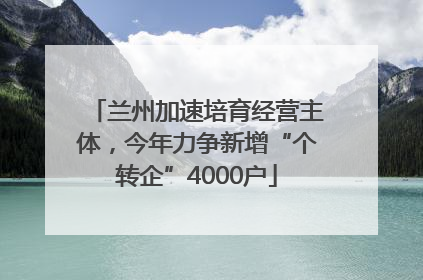 兰州加速培育经营主体，今年力争新增“个转企”4000户