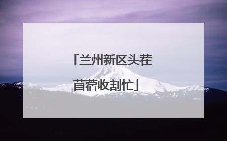 兰州新区头茬苜蓿收割忙