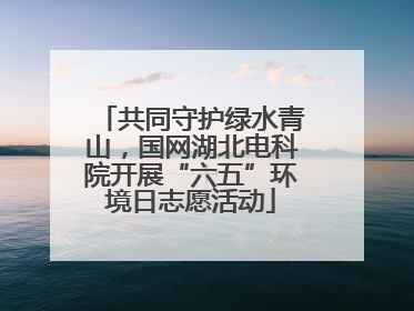 共同守护绿水青山，国网湖北电科院开展“六五”环境日志愿活动