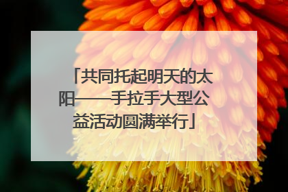 共同托起明天的太阳——手拉手大型公益活动圆满举行