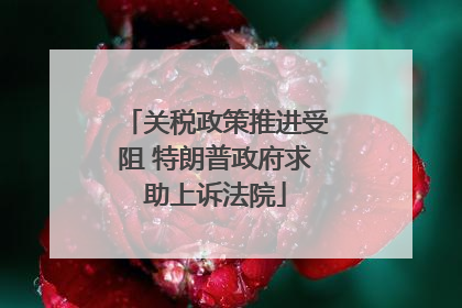 关税政策推进受阻 特朗普政府求助上诉法院