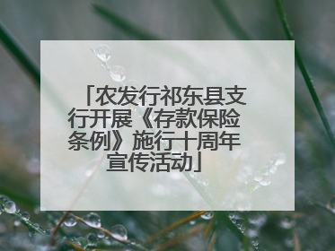 农发行祁东县支行开展《存款保险条例》施行十周年宣传活动