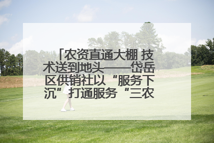 农资直通大棚 技术送到地头——岱岳区供销社以“服务下沉”打通服务“三农”最后一公里