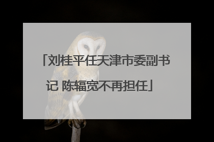 刘桂平任天津市委副书记 陈辐宽不再担任