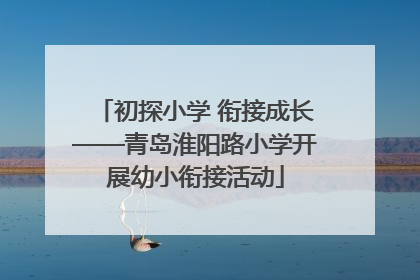 初探小学 衔接成长——青岛淮阳路小学开展幼小衔接活动