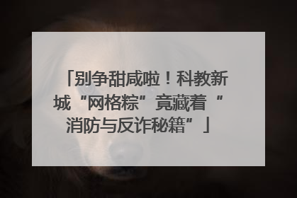 别争甜咸啦！科教新城“网格粽”竟藏着“消防与反诈秘籍”