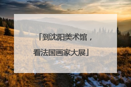 到沈阳美术馆，看法国画家大展