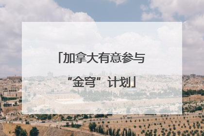 加拿大有意参与“金穹”计划