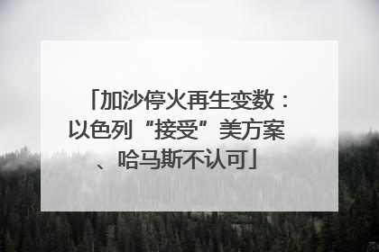 加沙停火再生变数：以色列“接受”美方案、哈马斯不认可