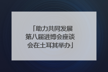 助力共同发展 第八届进博会座谈会在土耳其举办