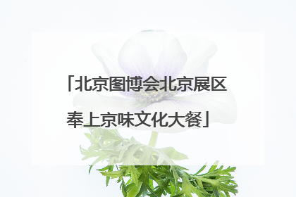 北京图博会北京展区奉上京味文化大餐