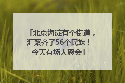北京海淀有个街道，汇聚齐了56个民族！今天有场大聚会