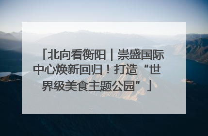 北向看衡阳｜崇盛国际中心焕新回归！打造“世界级美食主题公园”