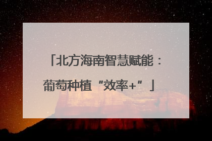 北方海南智慧赋能：葡萄种植“效率+”