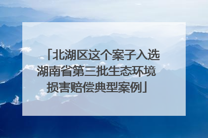 北湖区这个案子入选湖南省第三批生态环境损害赔偿典型案例