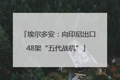 埃尔多安：向印尼出口48架“五代战机”