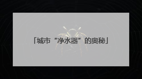 城市“净水器”的奥秘