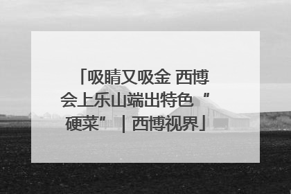 吸睛又吸金 西博会上乐山端出特色“硬菜”｜西博视界