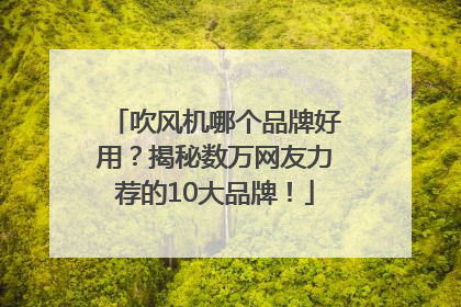 吹风机哪个品牌好用？揭秘数万网友力荐的10大品牌！