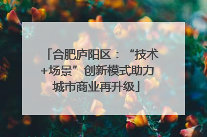 合肥庐阳区：“技术+场景”创新模式助力城市商业再升级