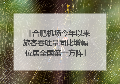 合肥机场今年以来旅客吞吐量同比增幅位居全国第一方阵