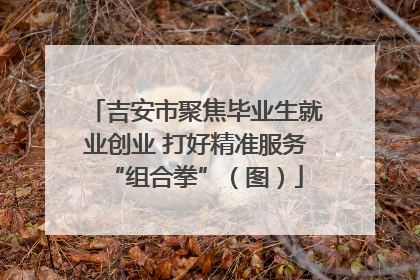 吉安市聚焦毕业生就业创业 打好精准服务“组合拳”（图）