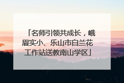 名师引领共成长，峨眉实小、乐山市白兰花工作站送教南山学区