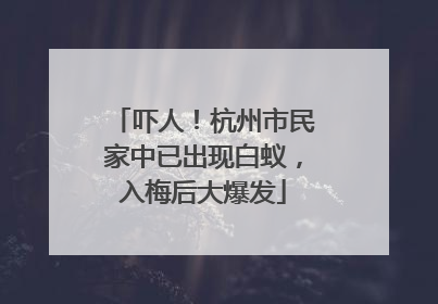 吓人！杭州市民家中已出现白蚁，入梅后大爆发
