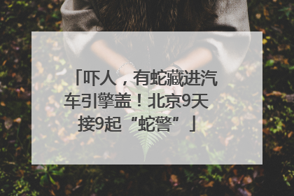 吓人，有蛇藏进汽车引擎盖！北京9天接9起“蛇警”