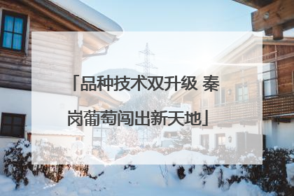 品种技术双升级 秦岗葡萄闯出新天地