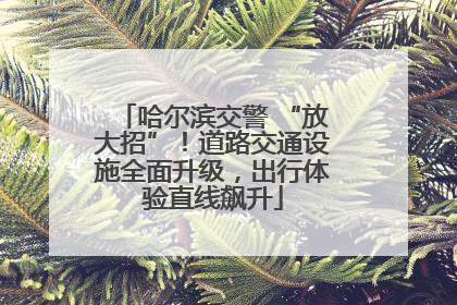 哈尔滨交警 “放大招”！道路交通设施全面升级，出行体验直线飙升
