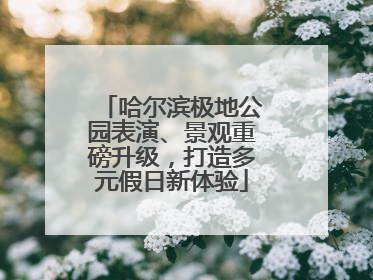 哈尔滨极地公园表演、景观重磅升级，打造多元假日新体验