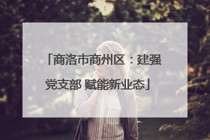 商洛市商州区：建强党支部 赋能新业态