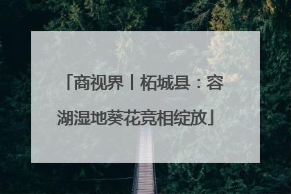 商视界丨柘城县：容湖湿地葵花竞相绽放