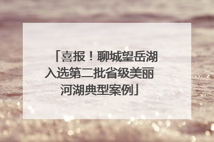 喜报！聊城望岳湖入选第二批省级美丽河湖典型案例