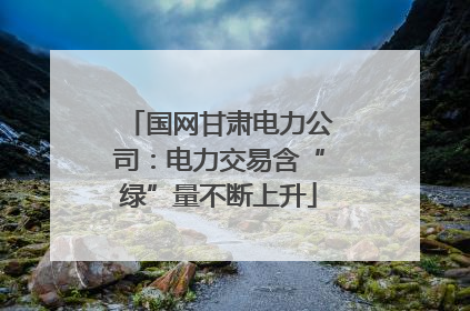 国网甘肃电力公司：电力交易含“绿”量不断上升