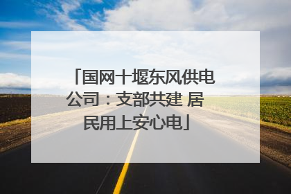 国网十堰东风供电公司：支部共建 居民用上安心电