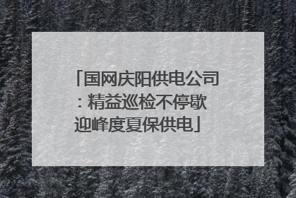 国网庆阳供电公司：精益巡检不停歇 迎峰度夏保供电
