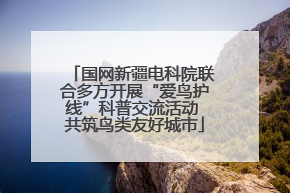 国网新疆电科院联合多方开展“爱鸟护线”科普交流活动 共筑鸟类友好城市