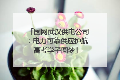 国网武汉供电公司：电力可靠供应护航高考学子圆梦