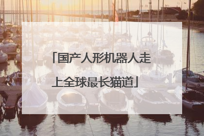 国产人形机器人走上全球最长猫道
