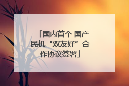 国内首个 国产民机“双友好”合作协议签署