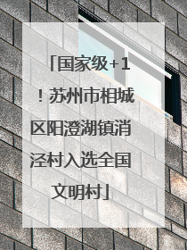 国家级+1！苏州市相城区阳澄湖镇消泾村入选全国文明村