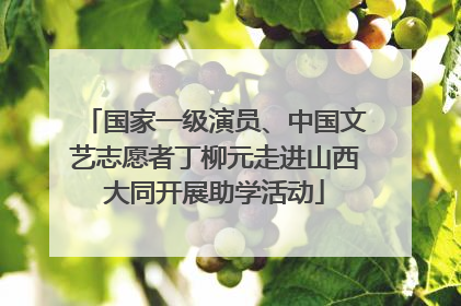 国家一级演员、中国文艺志愿者丁柳元走进山西大同开展助学活动